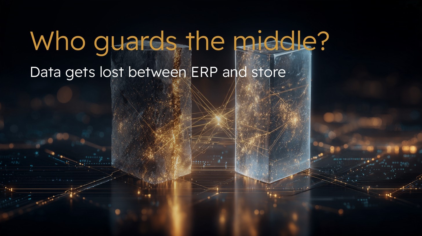 Ecommerce Integrations: How to Connect Your Store to an ERP So the Data Stays in